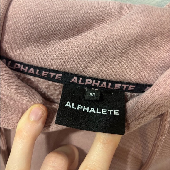 Alphalete Dusty Rose Hoodie - Picture 5 of 6